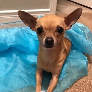 Meet your Posher, Alanna